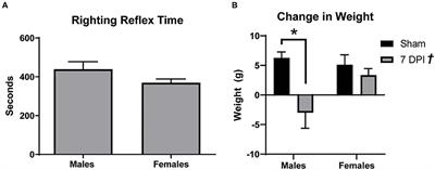 Sex-Dependent Pathology in the HPA Axis at a Sub-acute Period After Experimental Traumatic Brain Injury